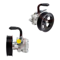 Hyundai Starex H1 Hidrolik Direksiyon Pompası 2.5 2001-2007 